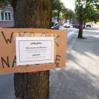 Fotka nr 5 z 6
