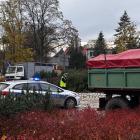 zdjęcie nr 8