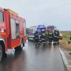 zdjęcie nr 8