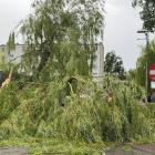 zdjęcie nr 9