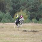 zdjęcie nr 48