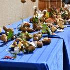 zdjęcie nr 224