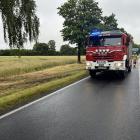 Fotka nr 1 z 3