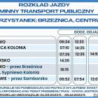 zdjęcie nr 14