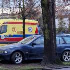 Fotka nr 1 z 6