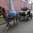zdjęcie nr 40