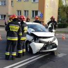 Fotka nr 5 z 8