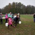 zdjęcie nr 10