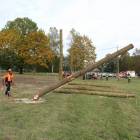 zdjęcie nr 83