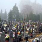 zdjęcie nr 37