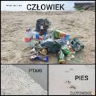 zdjęcie nr 37