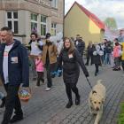 zdjęcie nr 17