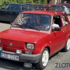 zdjęcie nr 125