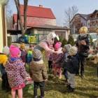 zdjęcie nr 39