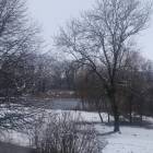 zdjęcie nr 52