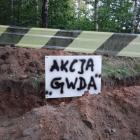 Fotka nr 3 z 11