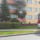 Fotka nr 4 z 17