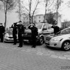 Fotka nr 5 z 6