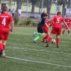 zdjęcie nr 11