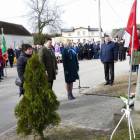 zdjęcie nr 24