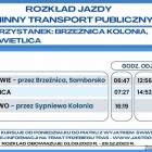 zdjęcie nr 12