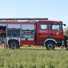 Fotka nr 5 z 18