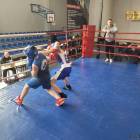 Fotka nr 3 z 16