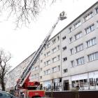 zdjęcie nr 8