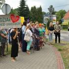 zdjęcie nr 13