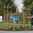 zdjęcie nr 16