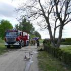 Fotka nr 5 z 24
