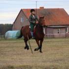 zdjęcie nr 98