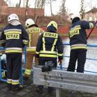 Fotka nr 1 z 16