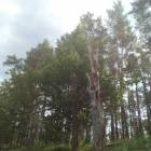 zdjęcie nr 45