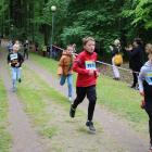 zdjęcie nr 88
