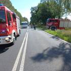 Fotka nr 1 z 8