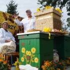 zdjęcie nr 235