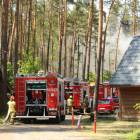 Fotka nr 1 z 14