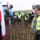 zdjęcie nr 11
