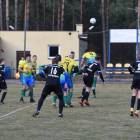 zdjęcie nr 12
