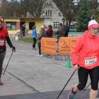 zdjęcie nr 229