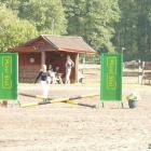 zdjęcie nr 22