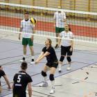 Fotka nr 3 z 13