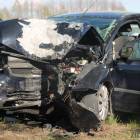 Fotka nr 5 z 9