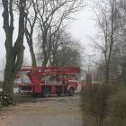 Fotka nr 5 z 8