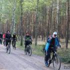 zdjęcie nr 11