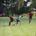 Fotka nr 4 z 41