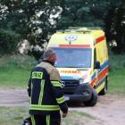 Fotka nr 2 z 12