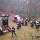 Fotka nr 1 z 21