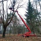 Fotka nr 3 z 11